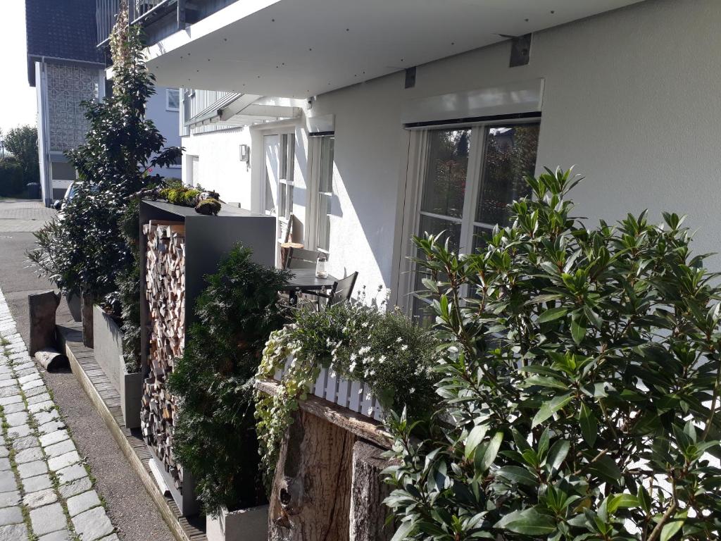 Apartment am Kniebach room 6